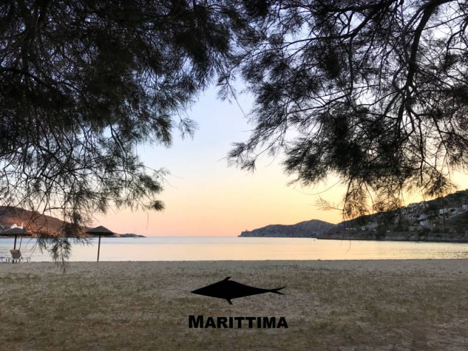 Marittima Ltd Logo